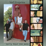 Sorry Bout the Mess Album | Well Hungarians